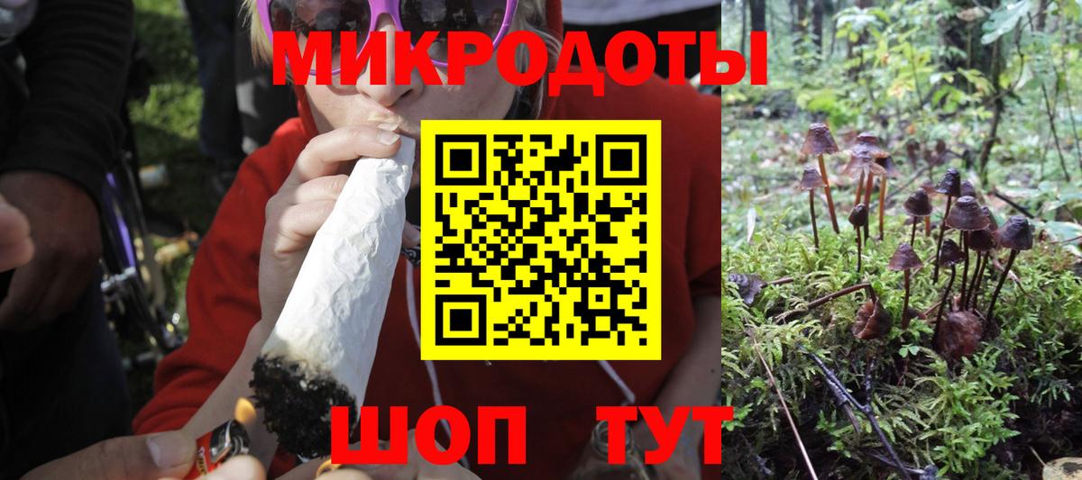 Белово  Псилоцибиновые грибы Psilocybe  Вход с VPN 